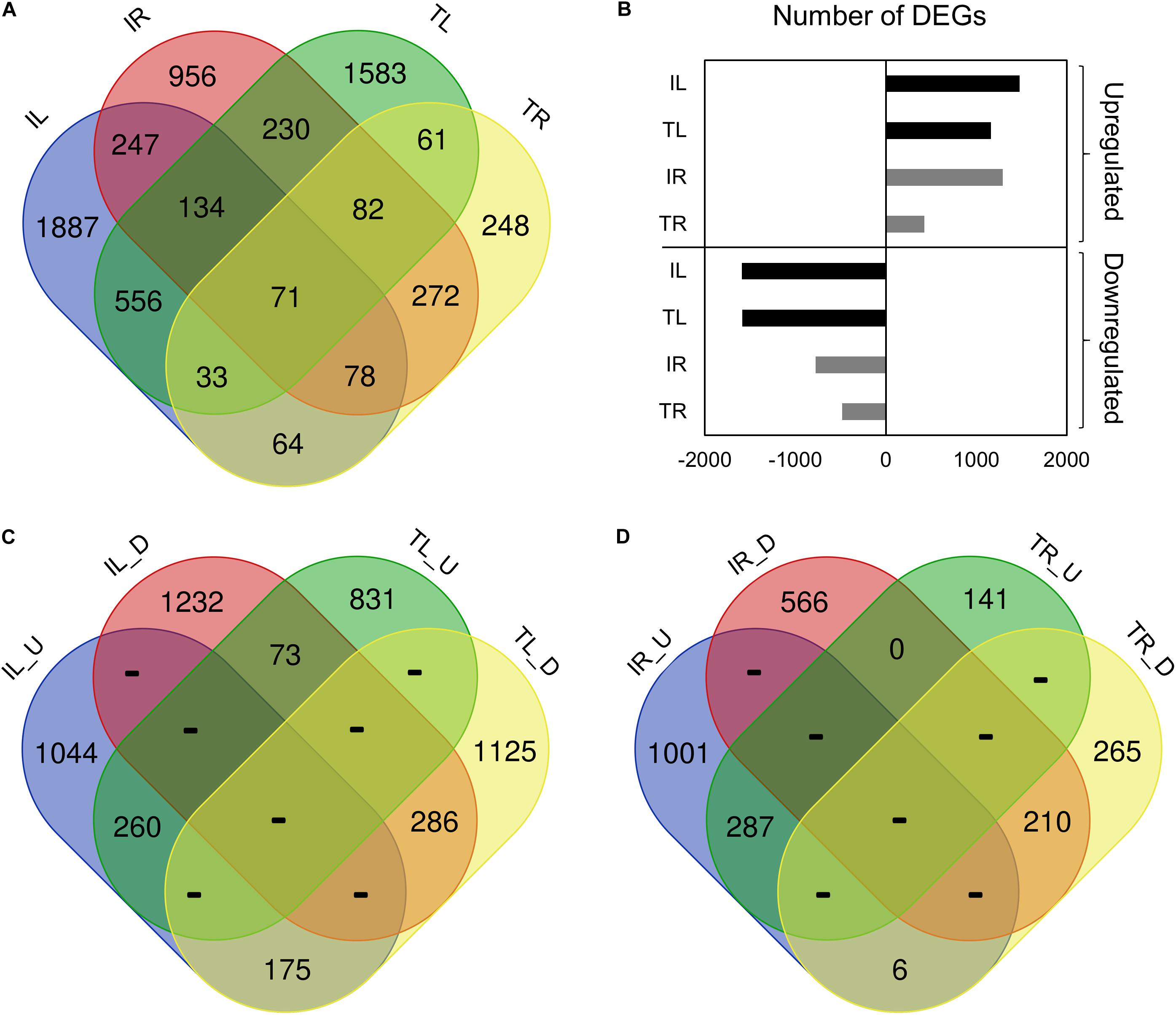 Frontiers Comparative Transcriptome Metabolome And Ionome Analysis Of Two Contrasting Common Bean Genotypes In Saline Conditions Plant Science