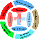 Frontiers | Type 2 Diabetes, Obesity, and Cancer Share Some Common and ...