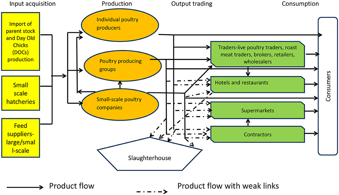 Frontiers Poultry Value Chain In Two Medium Sized Cities In Kenya 