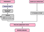 Frontiers | Susceptibility To COVID-19 In Pregnancy, Labor, And ...