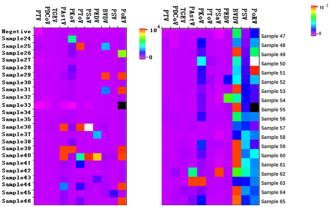 Frontiers The Complex Co Infections Of Multiple Porcine Diarrhea Viruses In Local Area Based On The Luminex Xtag Multiplex Detection Method Veterinary Science