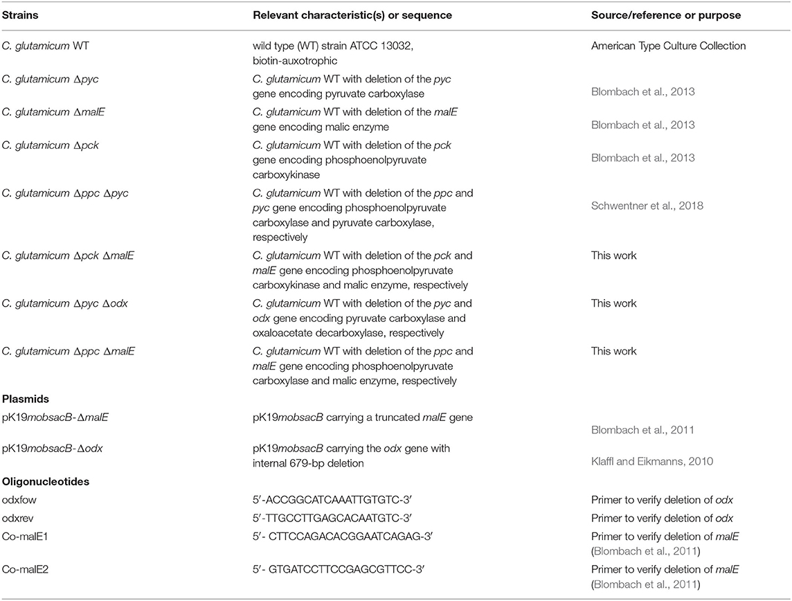 Frontiers Comprehensive Analysis Of C Glutamicum Anaplerotic Deletion Mutants Under Defined D Glucose Conditions Bioengineering And Biotechnology