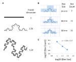 Frontiers | Fractal Analysis of Lung Structure in Chronic Obstructive ...