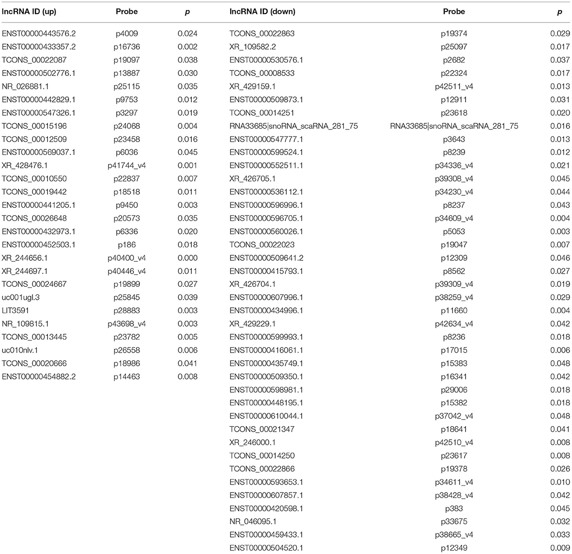 Frontiers | Downregulation of lncRNA XR_429159.1 Linked to Brain ...