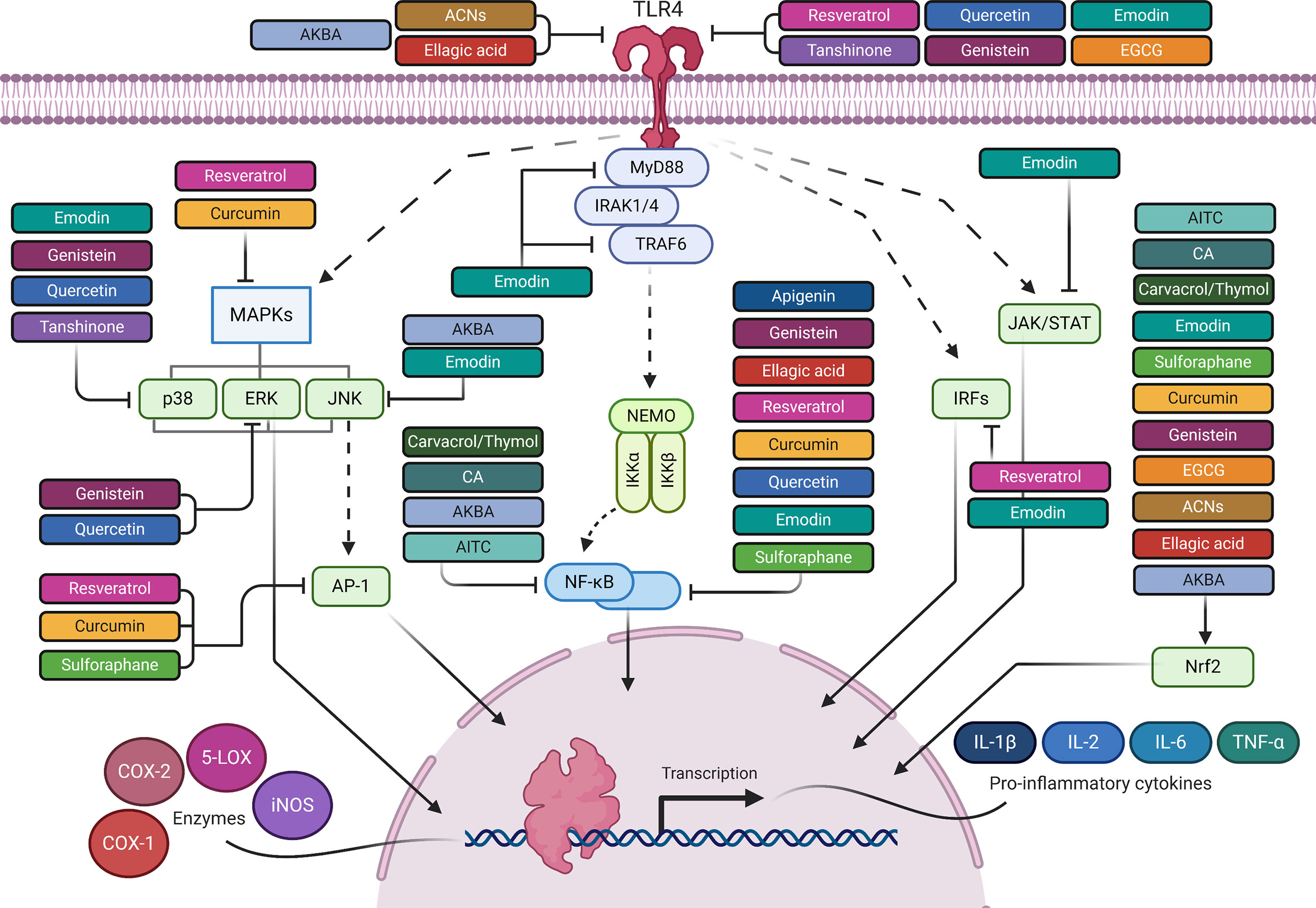Translational pathway to bras well suited to those with atypical breast