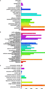 Frontiers | A Review of Cancer Genetics and Genomics Studies in Africa ...