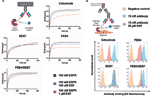 Frontiers | Expeditious Generation Of Biparatopic Common Light Chain ...