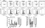 Frontiers | The Sez6 Family Inhibits Complement by Facilitating Factor ...