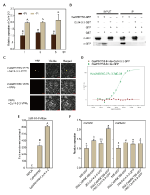 Frontiers | Ca14-3-3 Interacts With CaWRKY58 to Positively Modulate ...