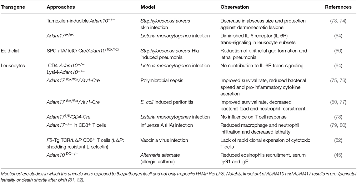 Frontiers | A Disintegrin and Metalloproteinase—Control Elements in ...