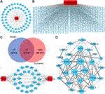 cytoscape networks with bisogenet