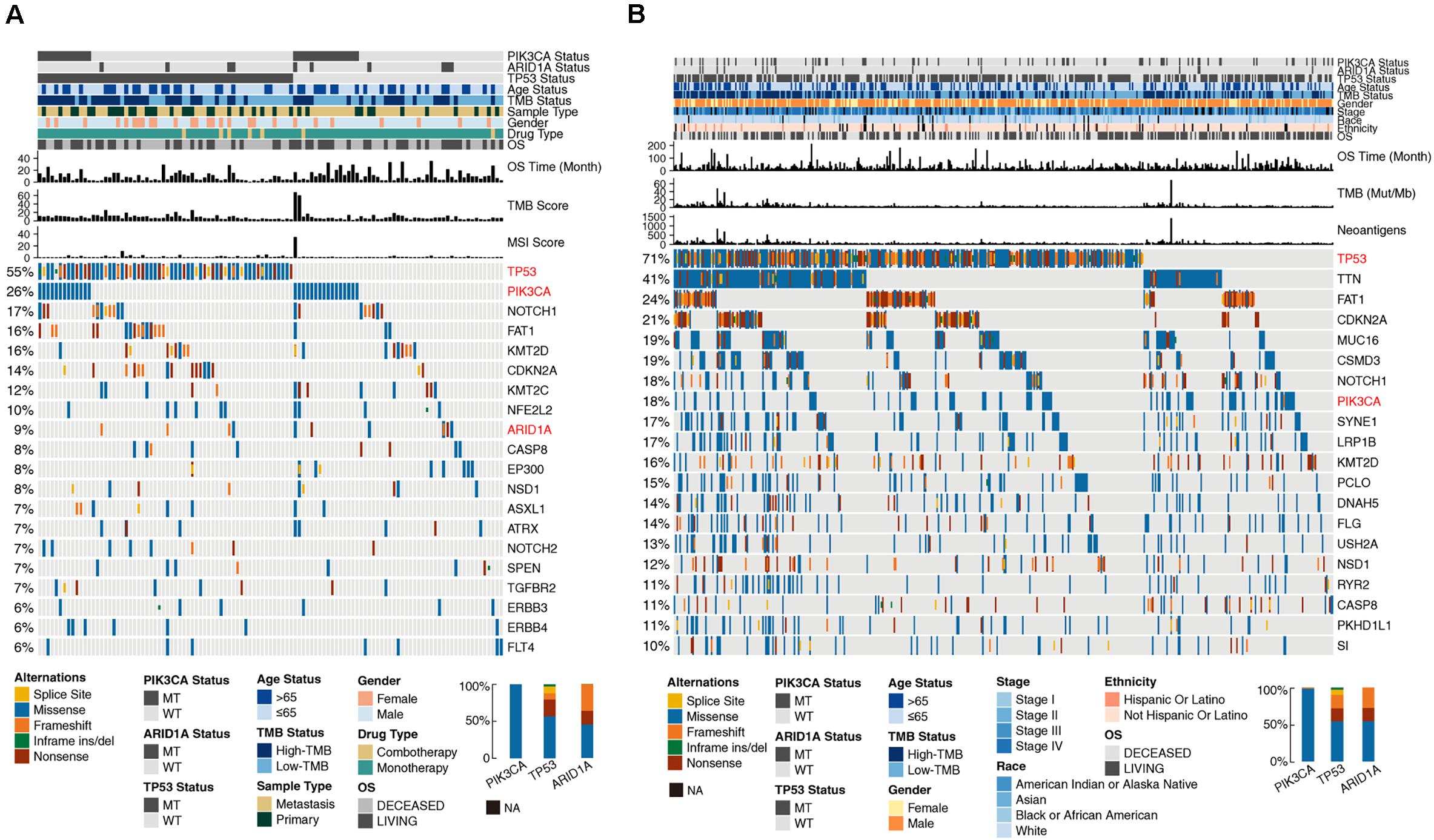Frontiers | Age and Mutations as Predictors of the Response to 
