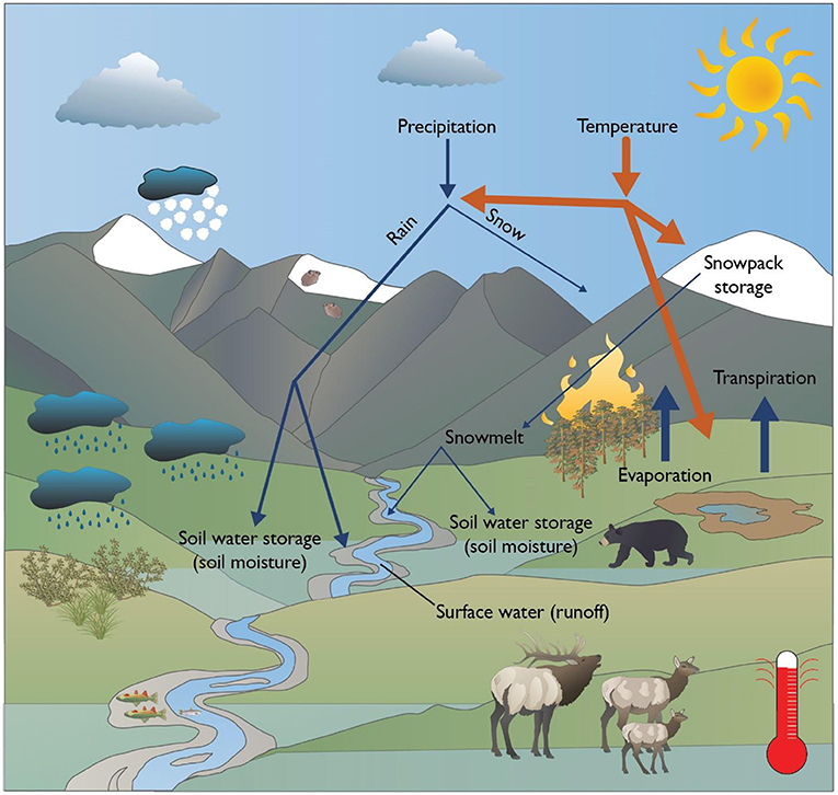 图3——科学家预测许多变化将发生在黄石国家公园随着温度的上升。