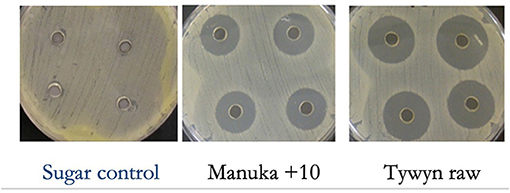 图2 -我们测试我们的抗菌超级蜂蜜使用的实验称为琼脂扩散试验。