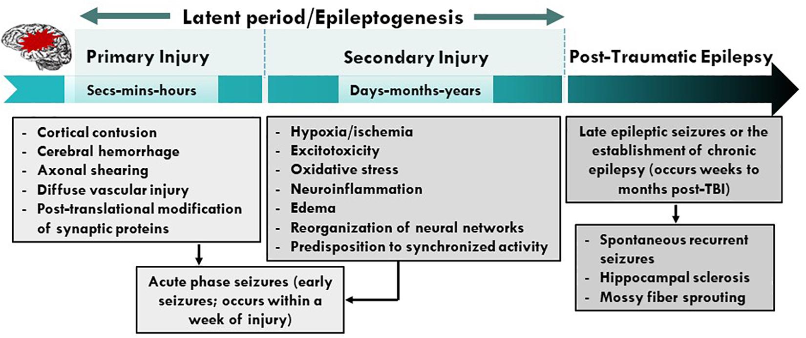 Frontiers Neuropathophysiological Mechanisms and Treatment Strategies