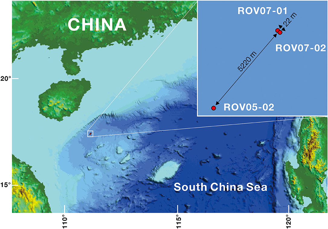 Frontiers Active Anaerobic Archaeal Methanotrophs In Recently Emerged Cold Seeps Of Northern South China Sea
