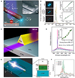 Frontiers | Nanowire Waveguides and Lasers: Advances and Opportunities ...