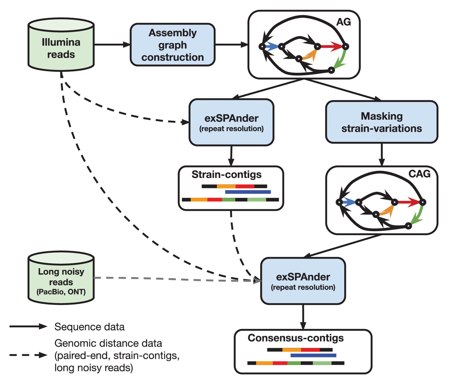 Evaluation of taxonomic classification and profiling methods for long-read  shotgun metagenomic sequencing datasets, BMC Bioinformatics