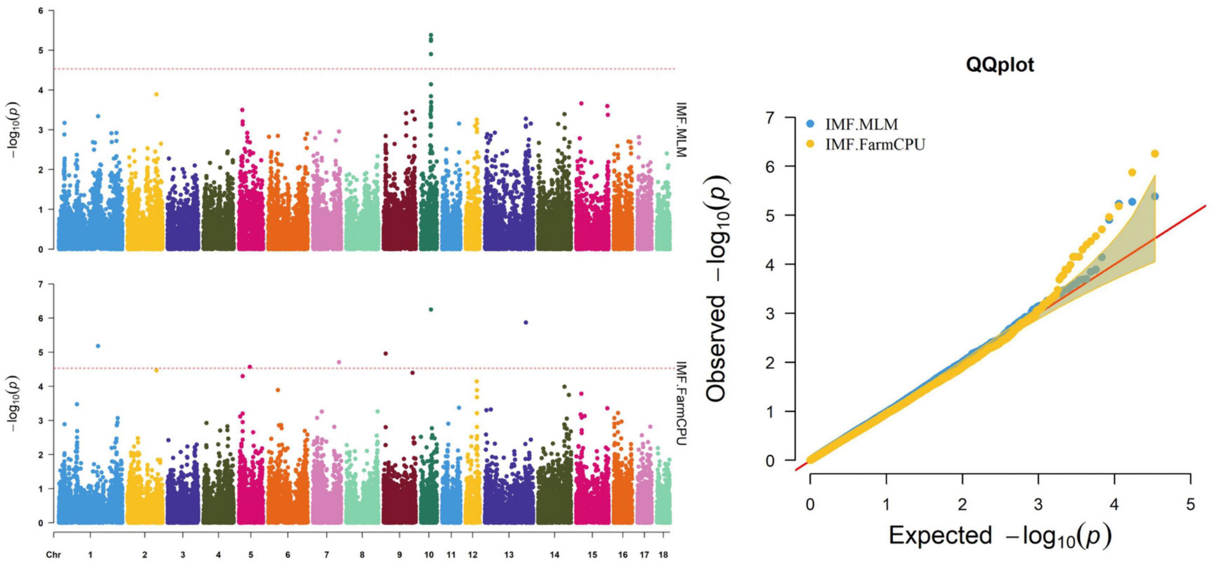 Frontiers  Imputation to whole-genome sequence and its use in genome-wide  association studies for pork colour traits in crossbred and purebred pigs