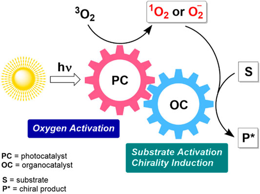 Frontiers | Aerobic Oxidations in Asymmetric Synthesis: Catalytic ...