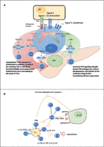 Frontiers | The Role of T Cell Receptor Signaling in the Development of ...