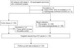 Frontiers | Plasma Circulating Tumor DNA Sequencing Predicts Minimal ...