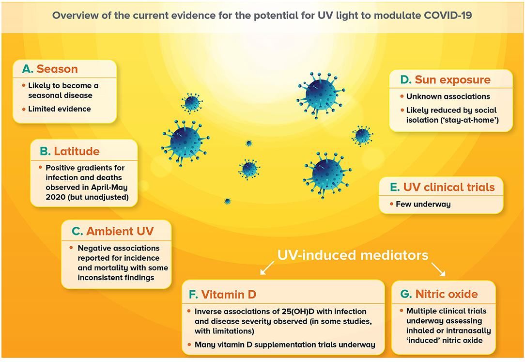 Frontiers Investigating The Potential For Ultraviolet Light To Modulate Morbidity And Mortality From Covid 19 A Narrative Review And Update Cardiovascular Medicine