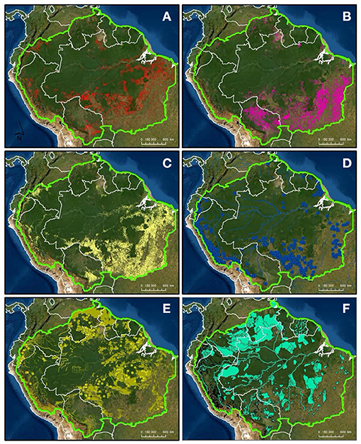 Frontiers Carbon And Beyond The Biogeochemistry Of Climate In A Rapidly Changing Amazon Forests And Global Change