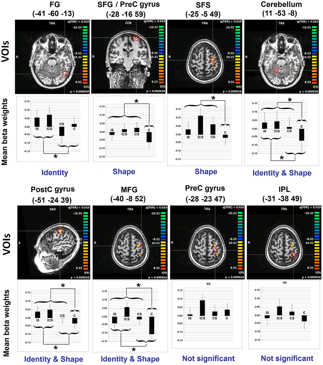 Frontiers | Letter Representations In Writing: An FMRI Adaptation ...