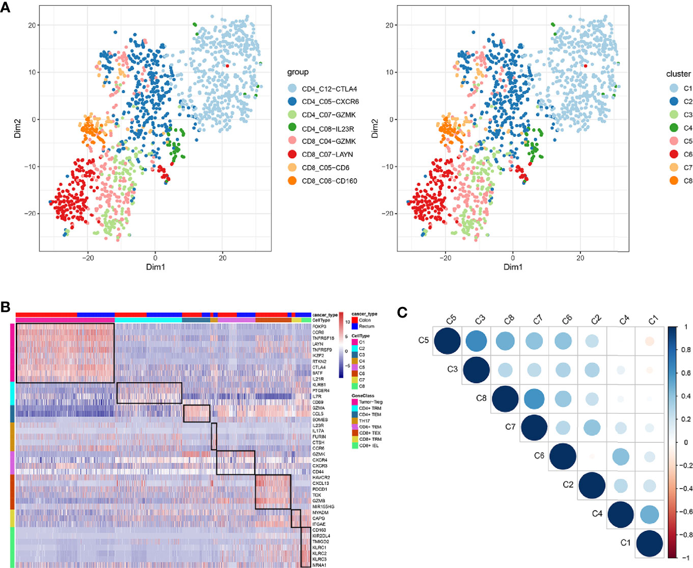 Frontiers Single Cell Analysis Reveals Characterization Of