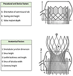 Frontiers | Case Report: Emergency High-Risk Percutaneous Coronary ...