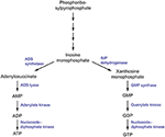 Frontiers | Targeting Unconventional Pathways in Pursuit of Novel ...