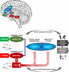 Frontiers | Approach-Avoidance Decisions Under Threat: The Role of ...