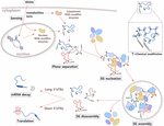 Frontiers | The Integral Role of RNA in Stress Granule Formation and ...