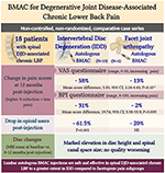 Frontiers | Autologous BMAC Therapy Improves Spinal Degenerative Joint ...