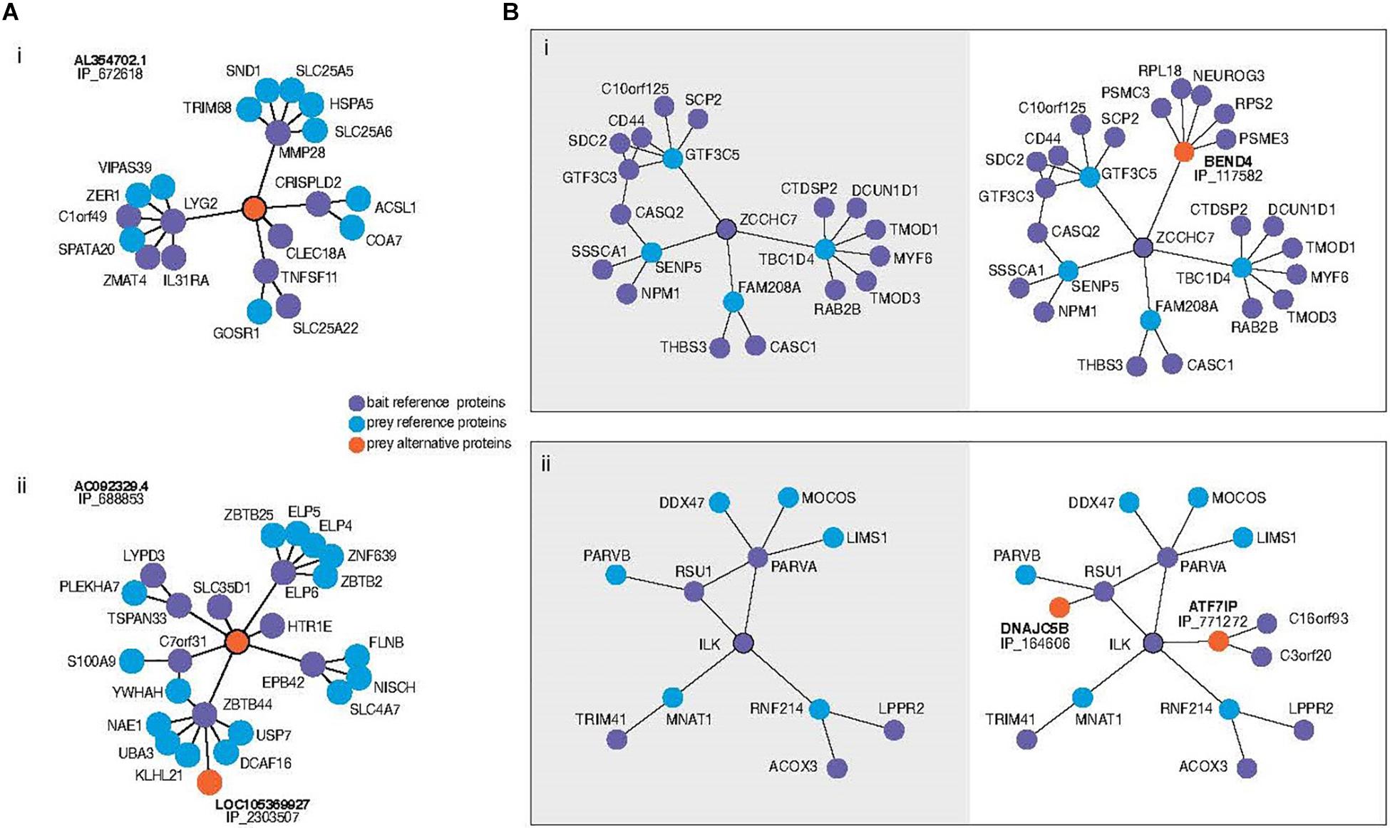 Frontiers Robust Physiological Metrics From Sparsely Sampled Networks Physiology