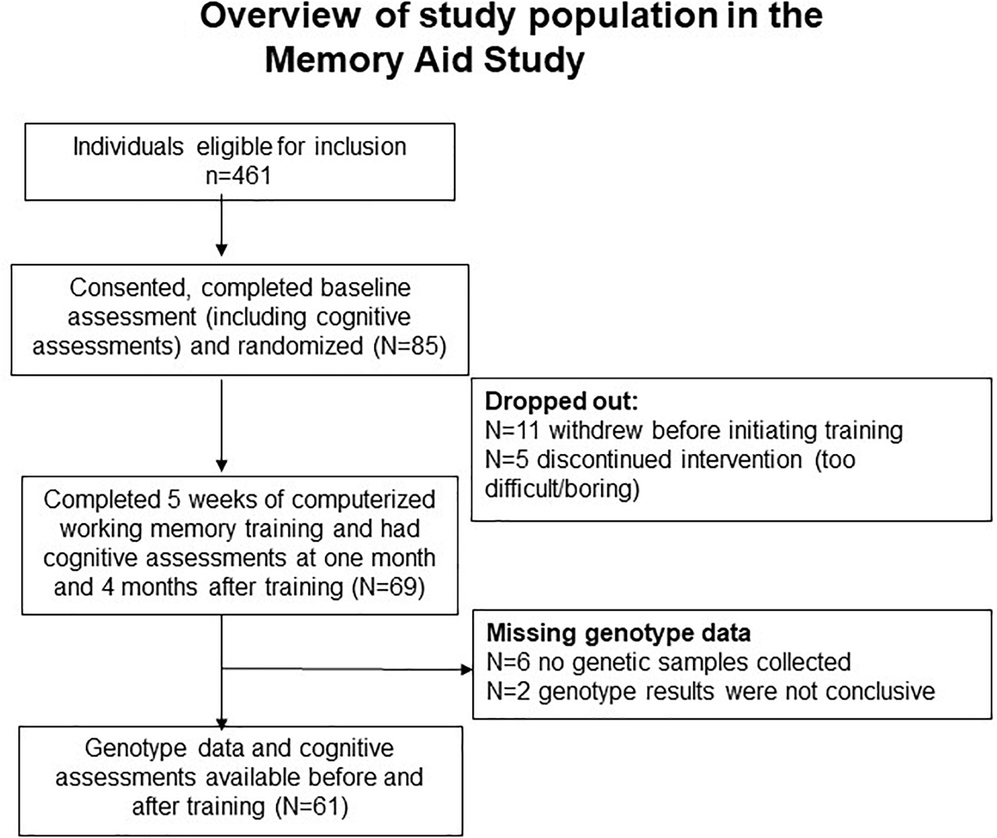 Frontiers Working Memory Training In Amnestic And Non Amnestic Patients With Mild Cognitive Impairment Preliminary Findings From Genotype Variants On Training Effects Frontiers In Aging Neuroscience