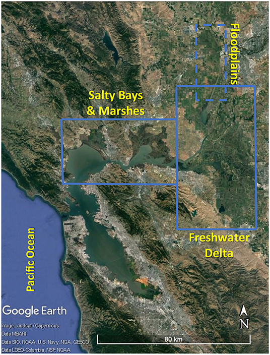 图1 -上旧金山河口(盒装区域)显示它的许多生态系统。