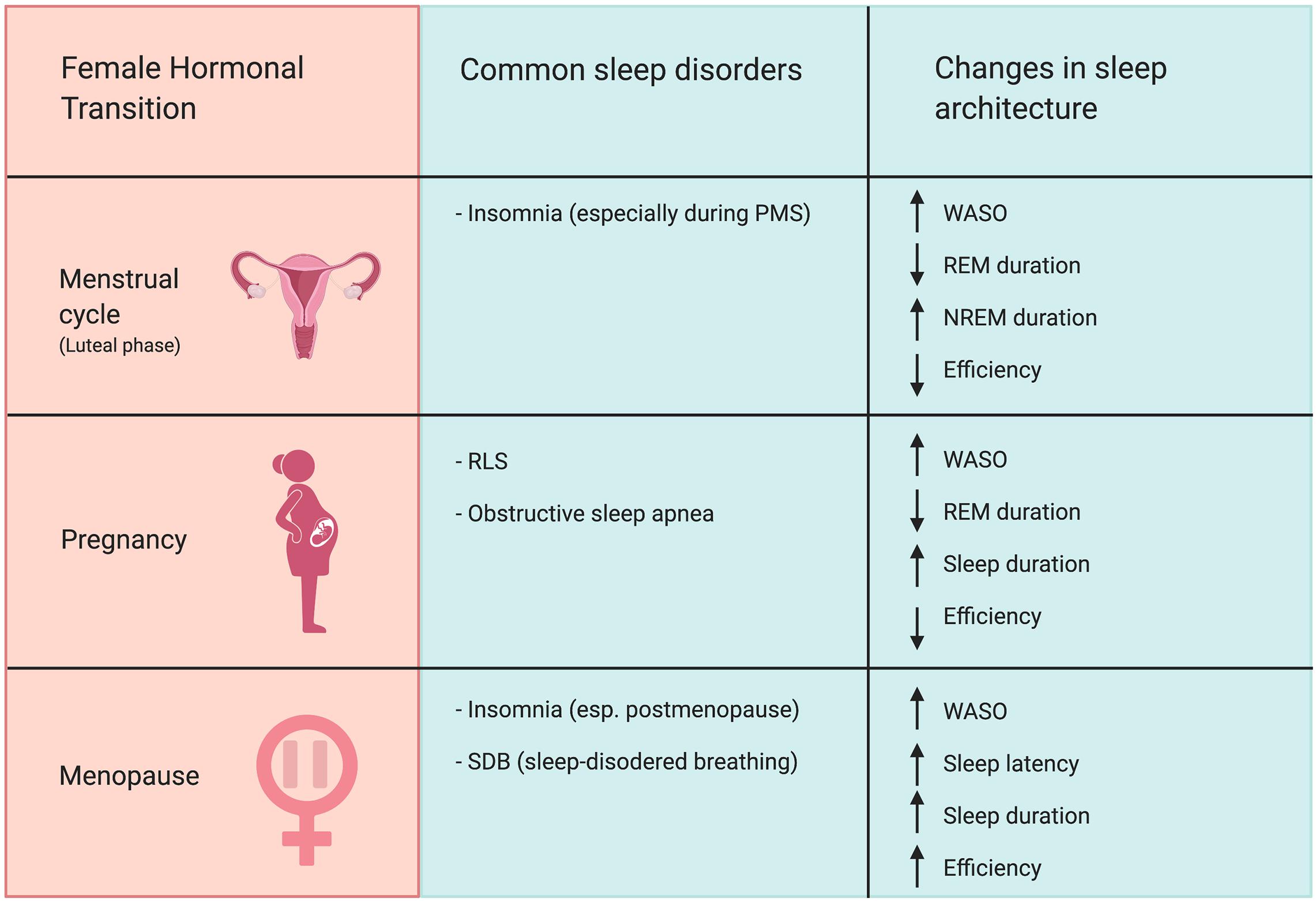 The Relationship Between the Menstrual Cycle and Sleep — BrainPost