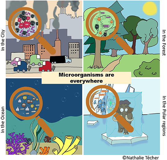 图1——尽管我们不能看到他们没有在显微镜的帮助下,微生物在地球上每一个环境,包括海洋、土壤、森林、冰川,我们呼吸的空气。