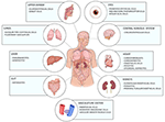 Frontiers | The Immunopathology of COVID-19 and the Cannabis Paradigm ...