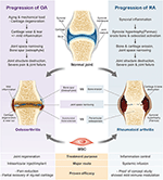 Frontiers | Recent Developments in Clinical Applications of Mesenchymal ...