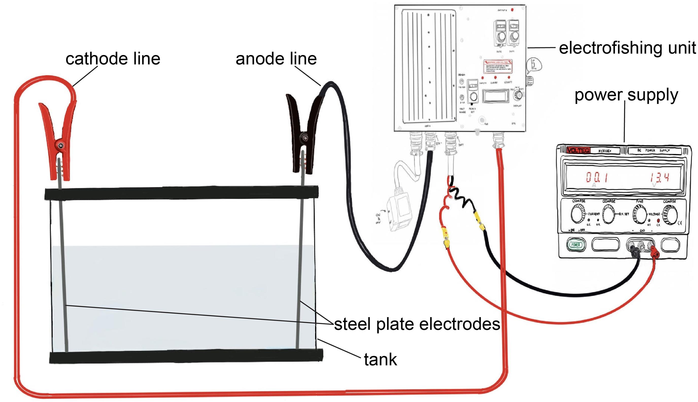 Frontiers  Development and First Tests of a Lab-Scale Electric Field for  Investigating Potential Effects of Electric Barriers on Aquatic Invasive  Invertebrates