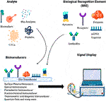 Frontiers | Advanced Approaches to Breast Cancer Classification and ...