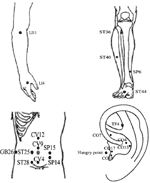 Frontiers | Mechanism of Action of Acupuncture in Obesity: A ...