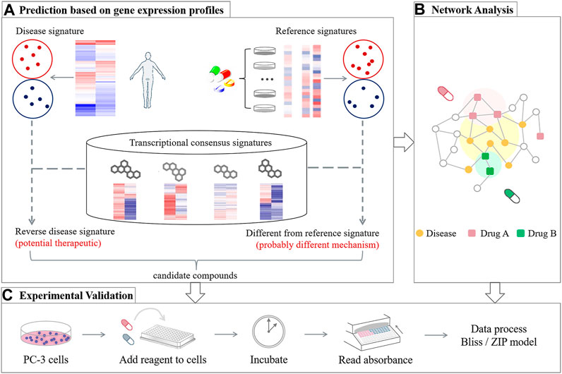 Frontiers | Prediction of Synergistic Drug Combinations for Prostate ...