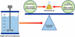 Frontiers | The Potential of Single-Cell Oils Derived From Filamentous ...