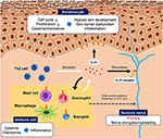 Frontiers | Interleukin-31 as a Clinical Target for Pruritus Treatment ...