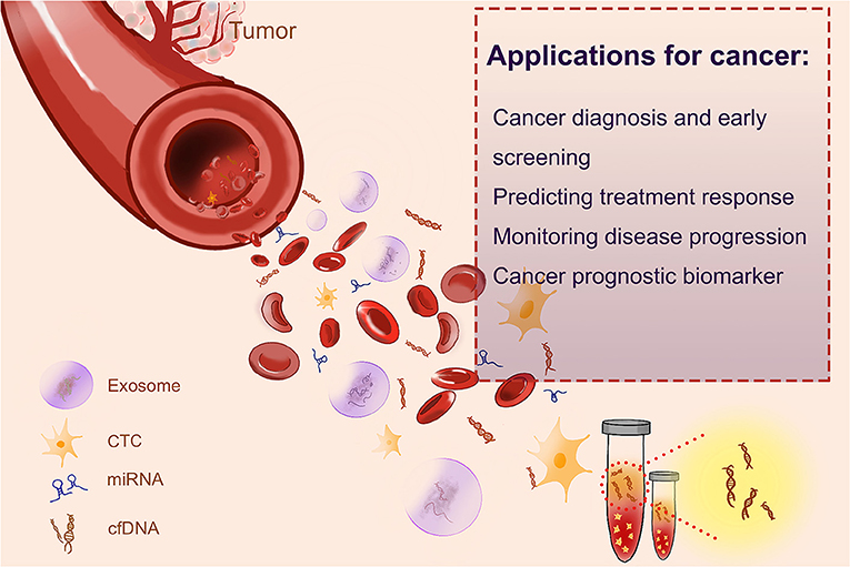 765px x 511px - Frontiers | Cell-Free DNA: Hope and Potential Application in Cancer