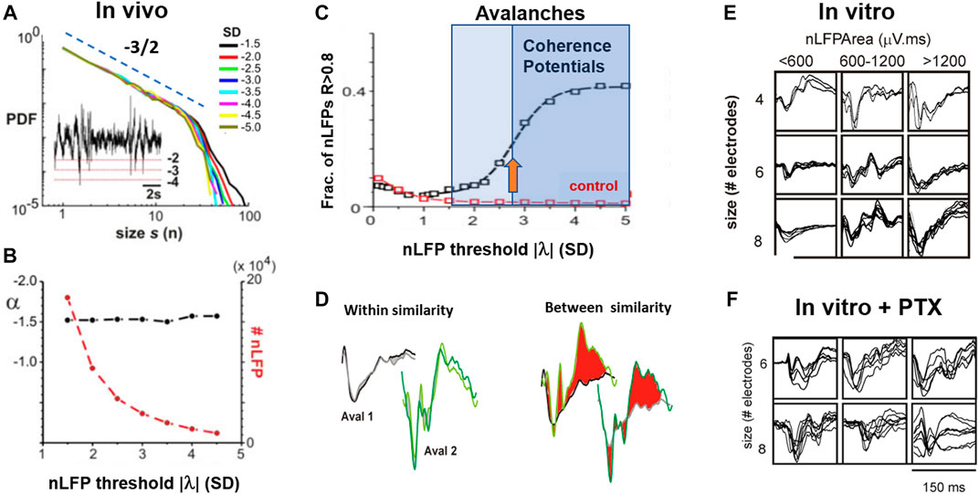 Frontiers Self Organized Criticality In The Brain